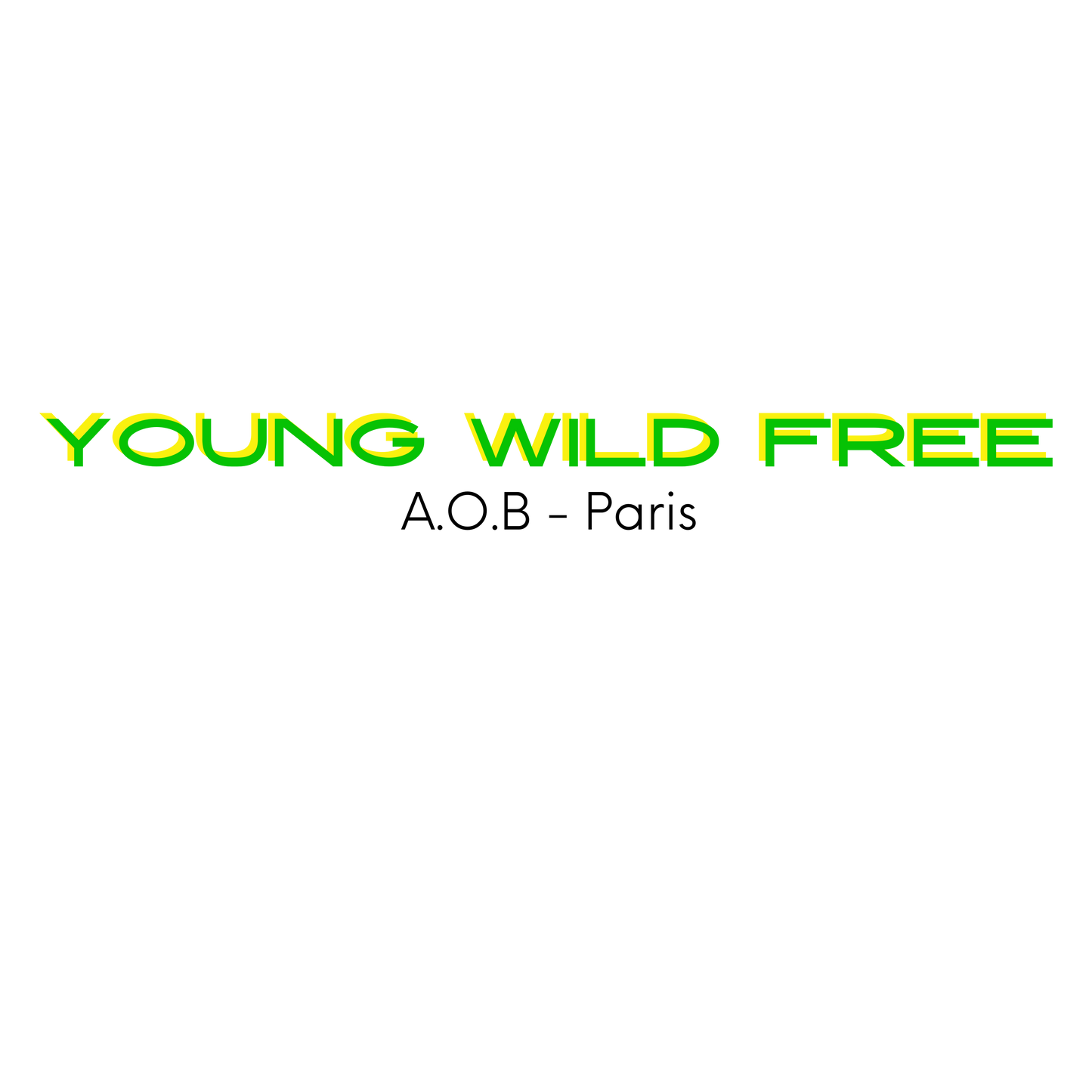 LE SWEAT SANS CAPUCHE "YOUNG WILD & FREE"