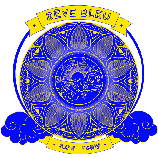 LE T-SHIRT "RÊVE BLEU"