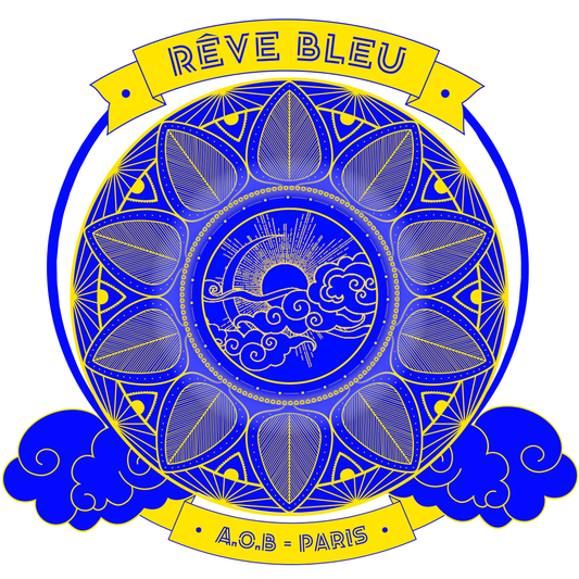 LE SWEAT SANS CAPUCHE "RÊVE BLEU"
